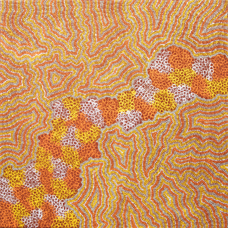 Akatjerre Tjukurrpa