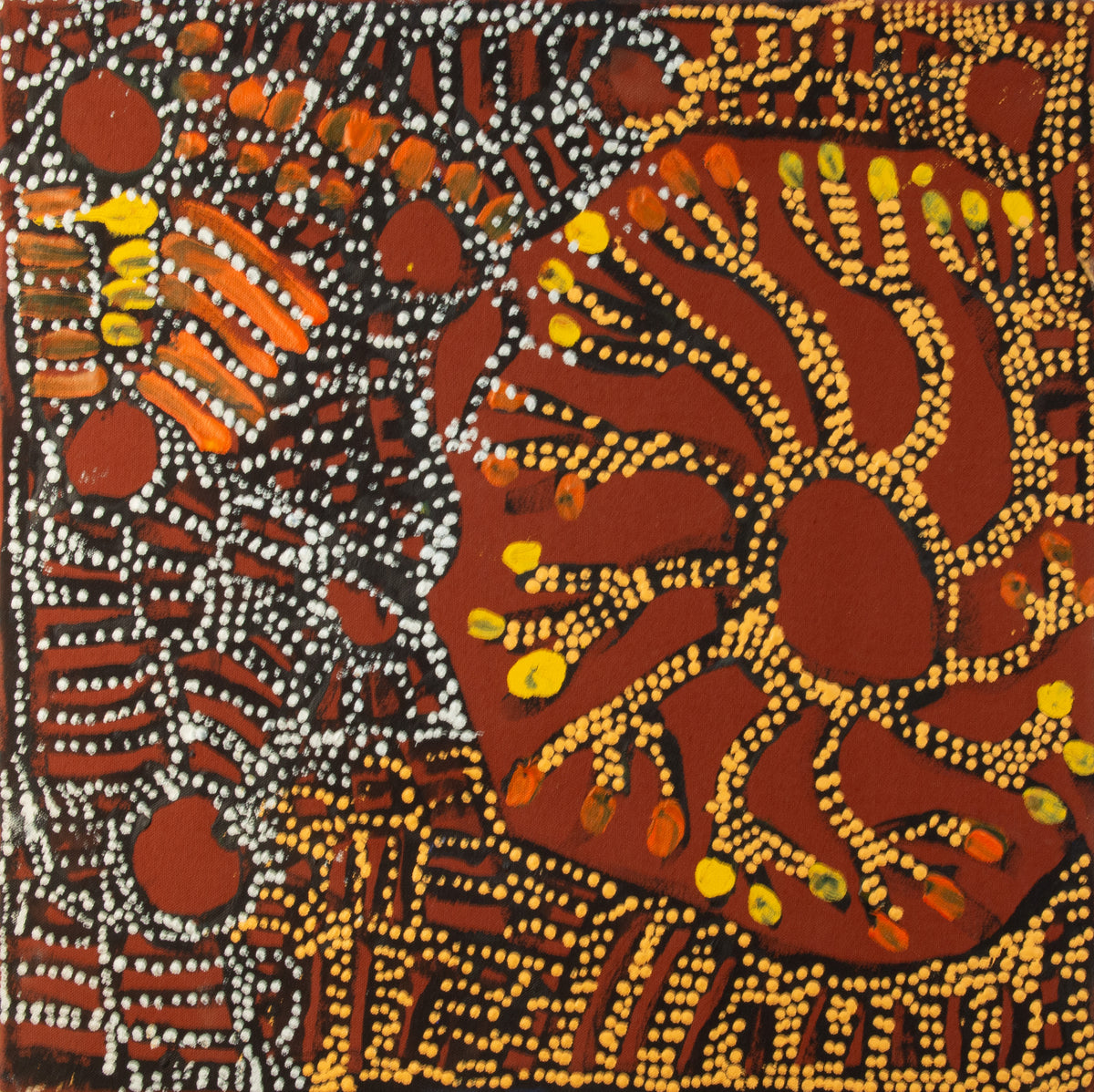 Doris Bush- Nyumanu Story by Doris Bush Nungarrayi