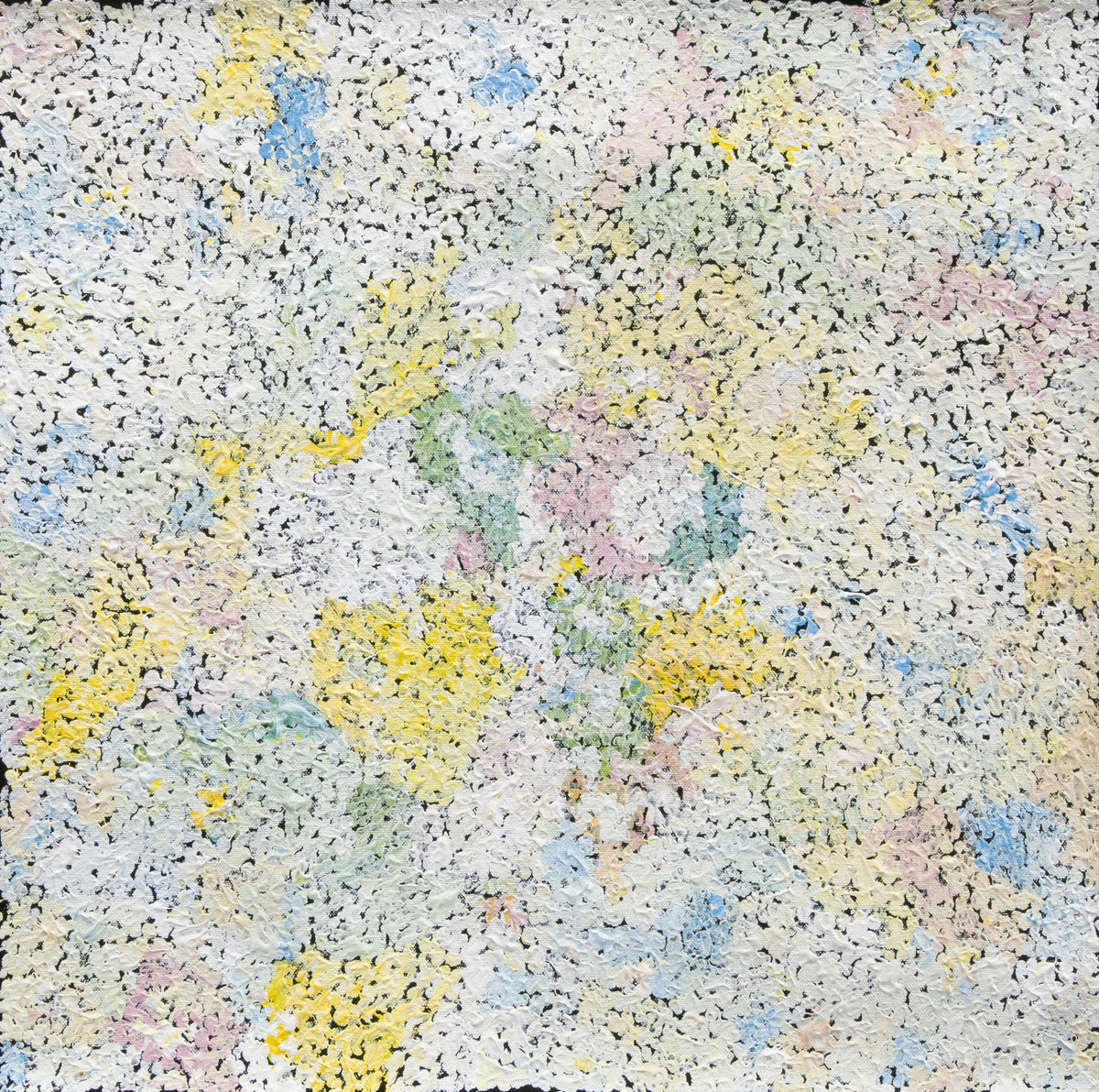 Flora Brown Mina Mina Tjukurrpa (Lake Mackay Dreaming) by Flora Brown