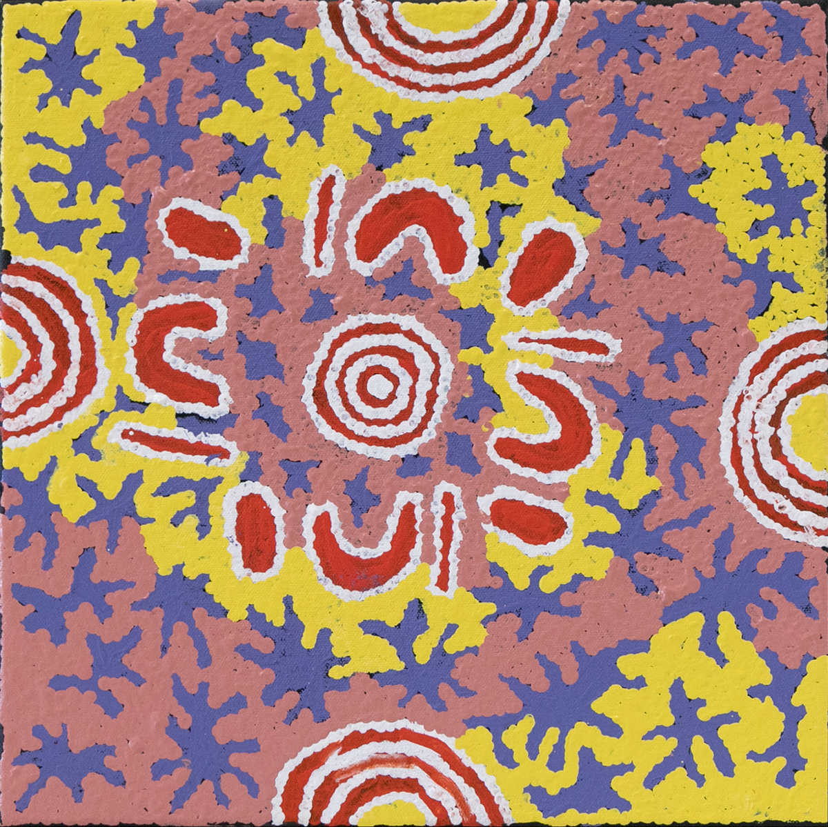 Emily Andy Janmarda by Emily Andy Napaltjarri