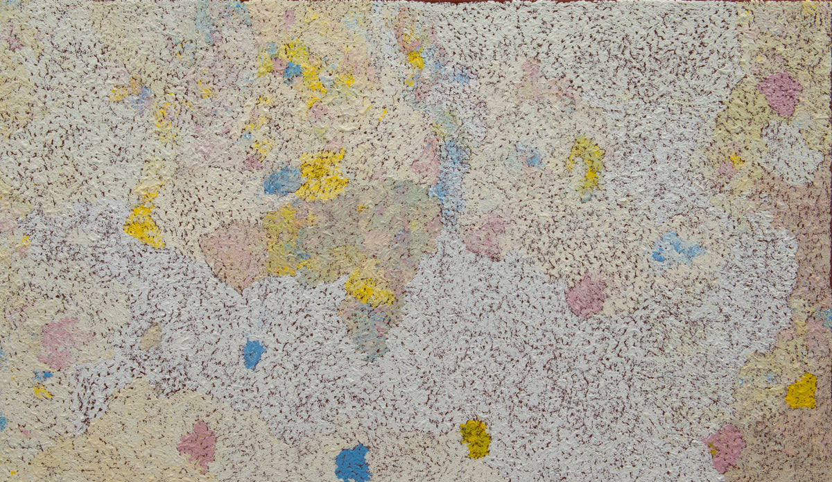 Flora Brown Mina Mina Tjukurrpa (Lake Mackay Dreaming)