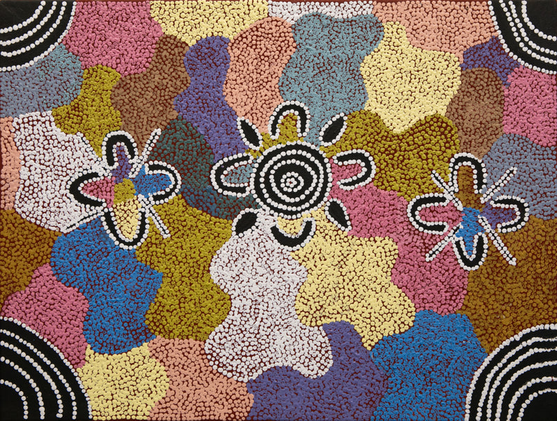 ada andy Kapi Tjukurrpa