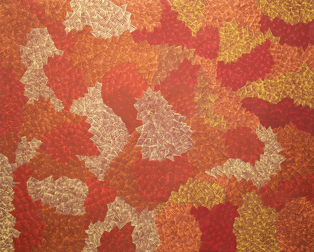 Untitled Artwork 595144 by Patricia Phillipus Napurrula