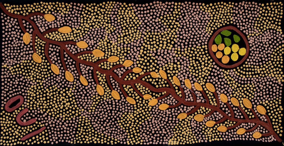 Bush foods by Doreen Bennett