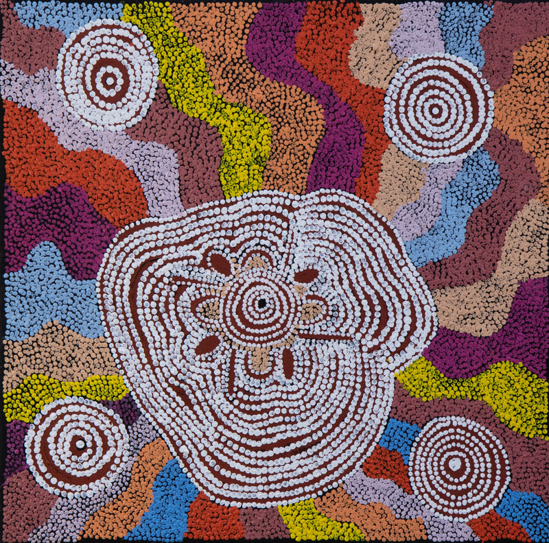 ada andy Kapi Tjukurrpa