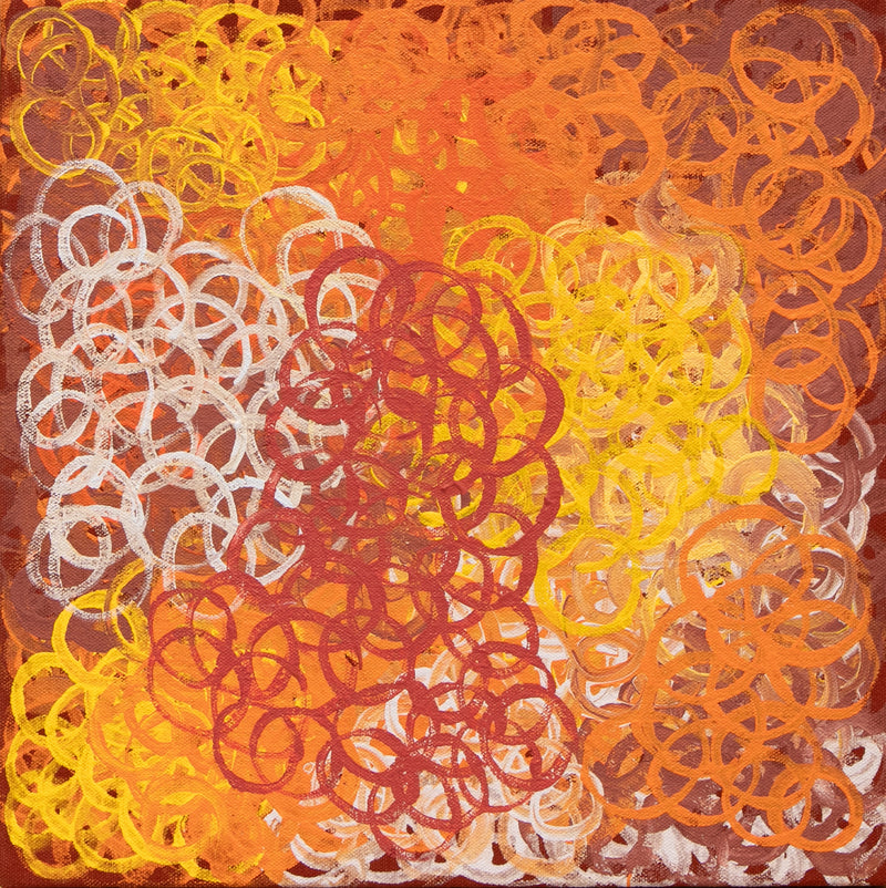 Akatjerre Tjukurrpa