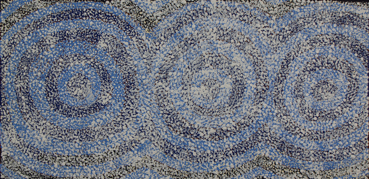Untitled Artwork 471436 by Minnie Nelson Nakamarra