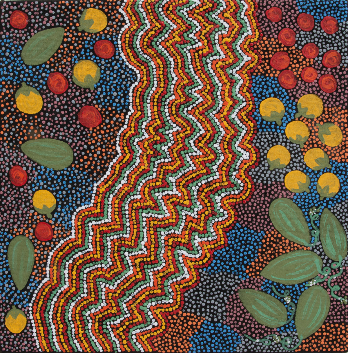 Bush foods by Janelle Eggley