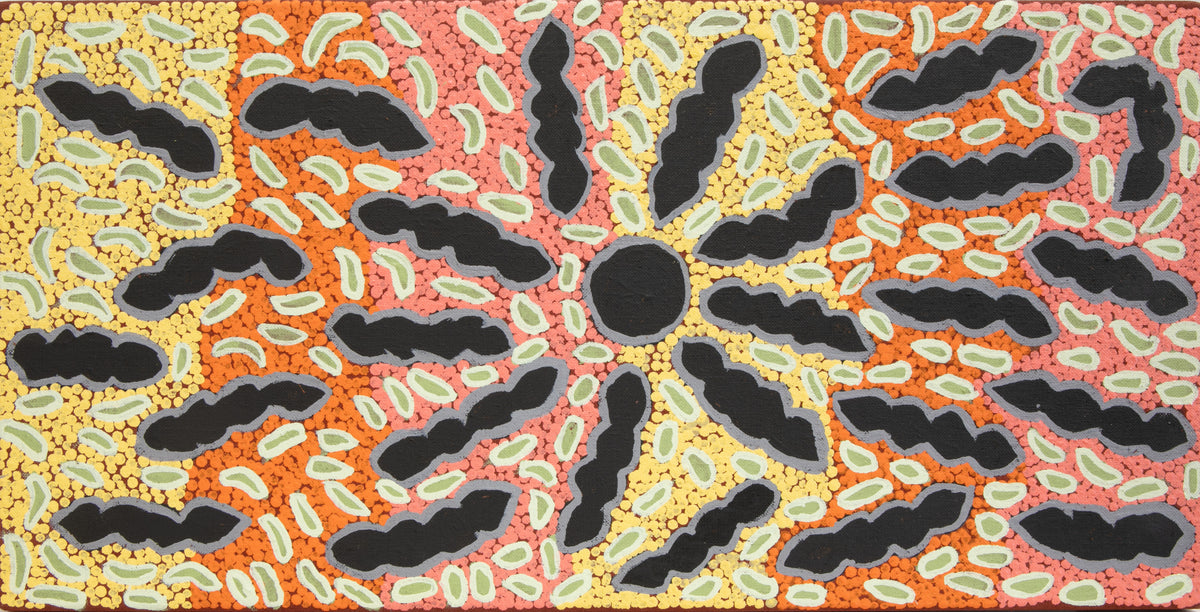Bush foods by Sheila Major Nampintjinpa