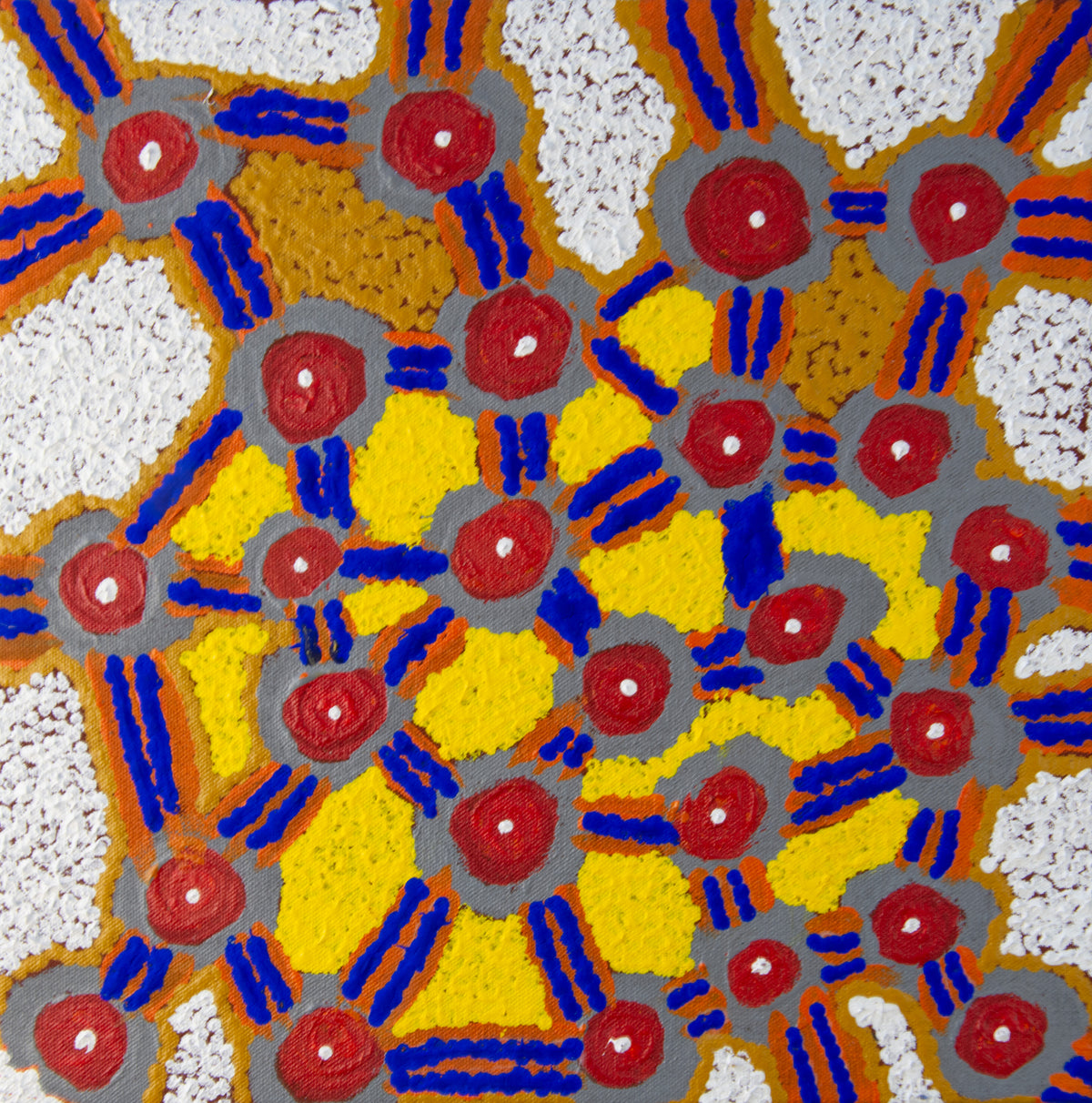 Puntu (Salt Lake) by Tony  Brown