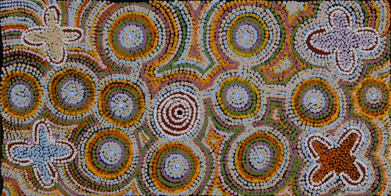 ada andy Kapi Tjukurrpa