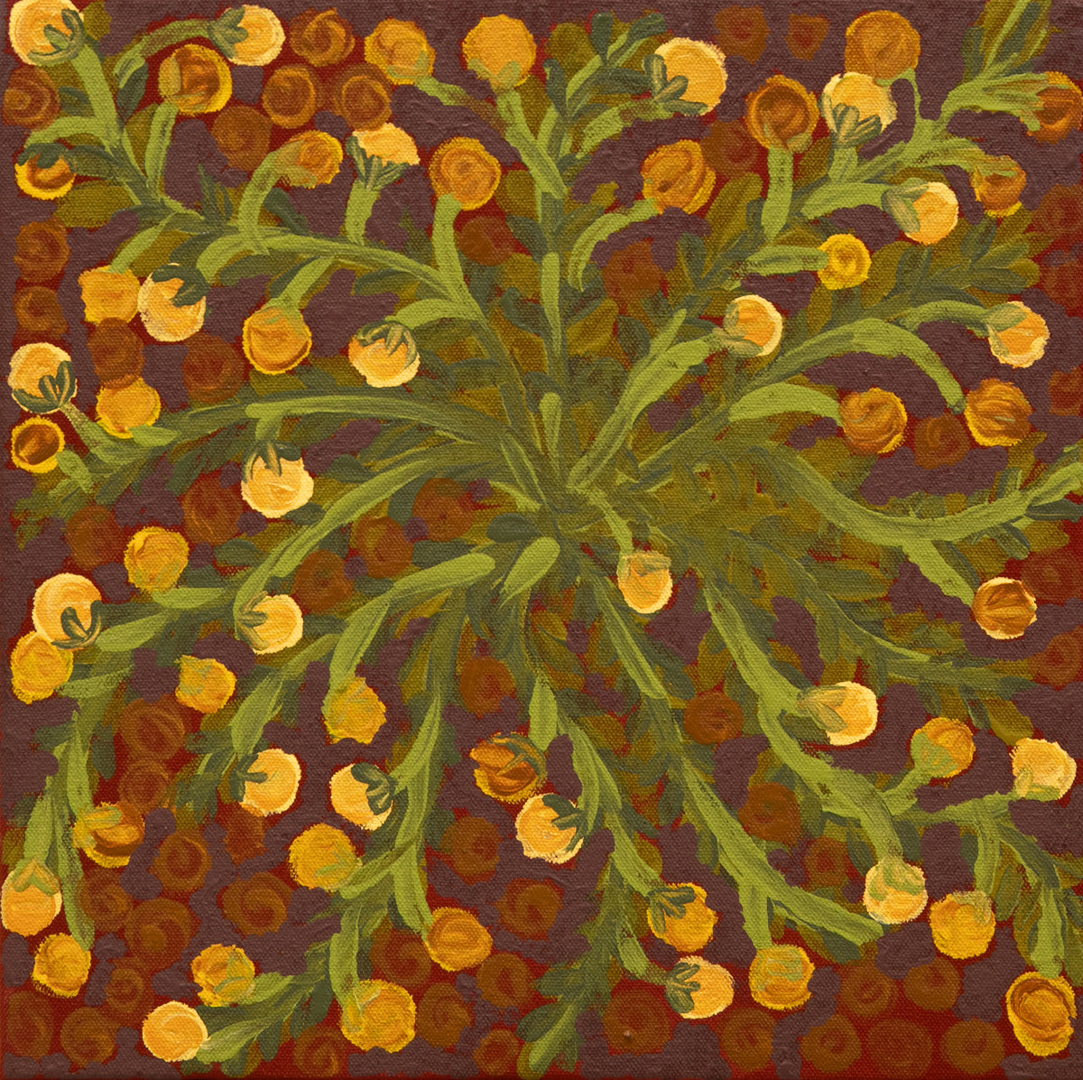 Akatjerre Tjukurrpa