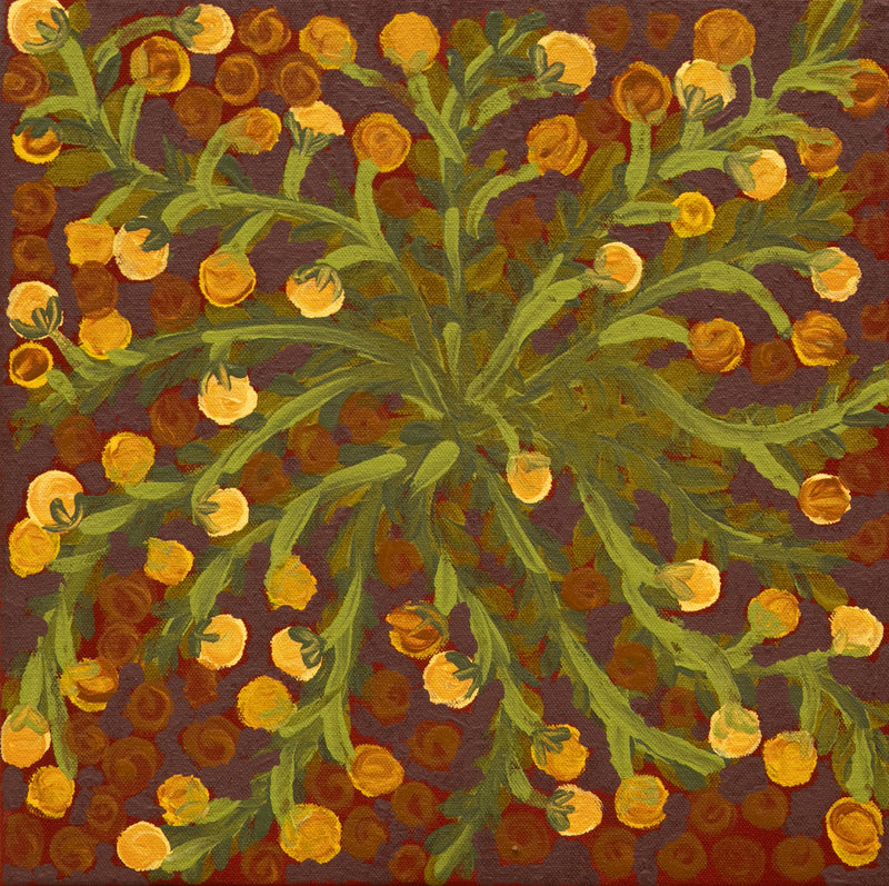 Akatjerre Tjukurrpa