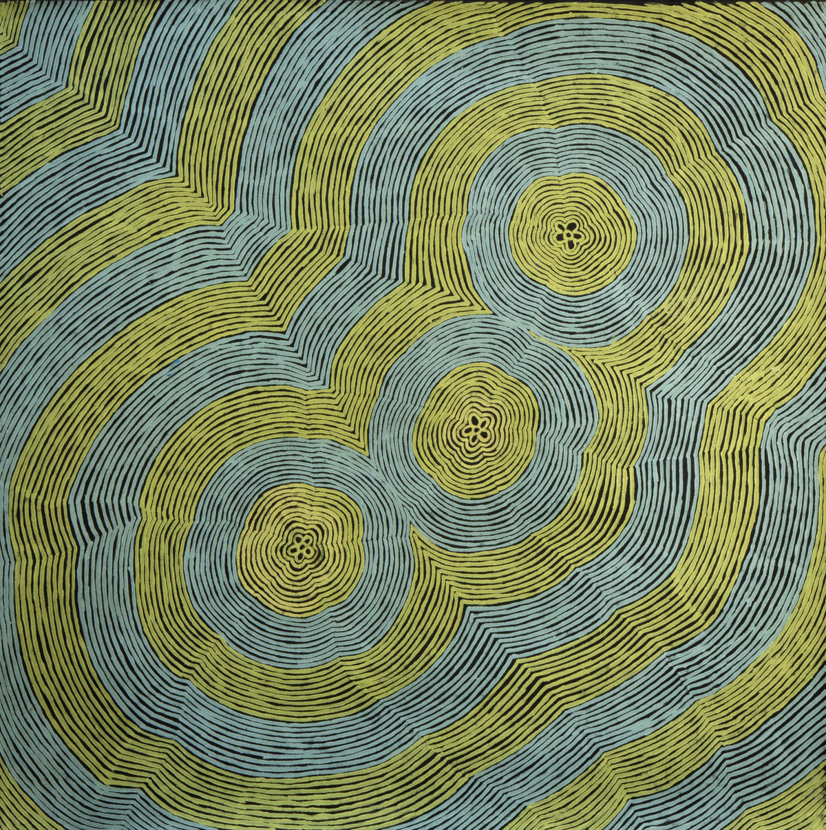 puuni Kapi Tjukurrpa