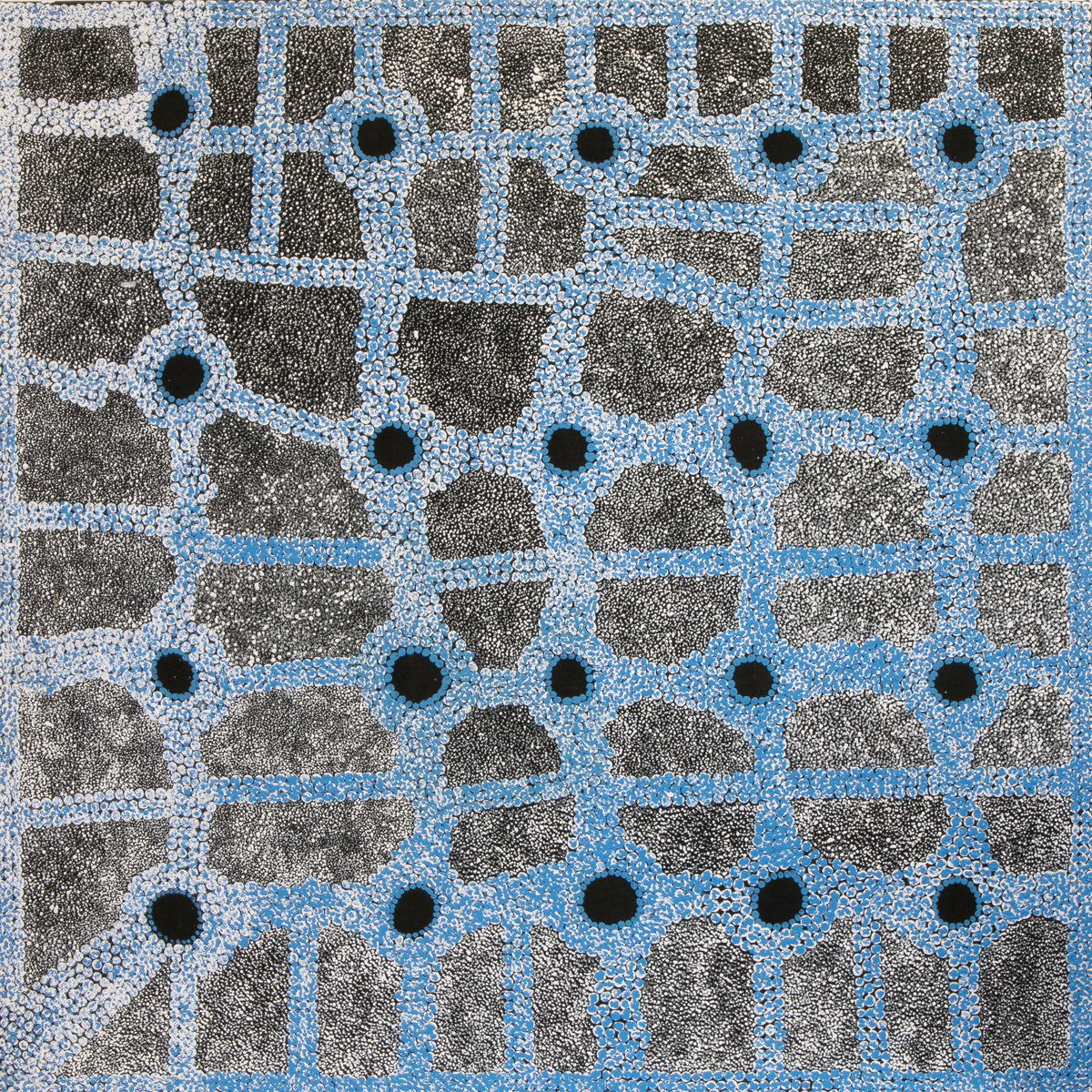 Untitled Artwork 588964 by Minnie Nelson Nakamarra