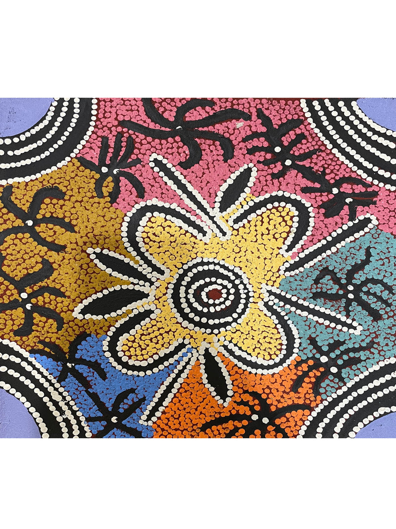 ada andy Kapi Tjukurrpa