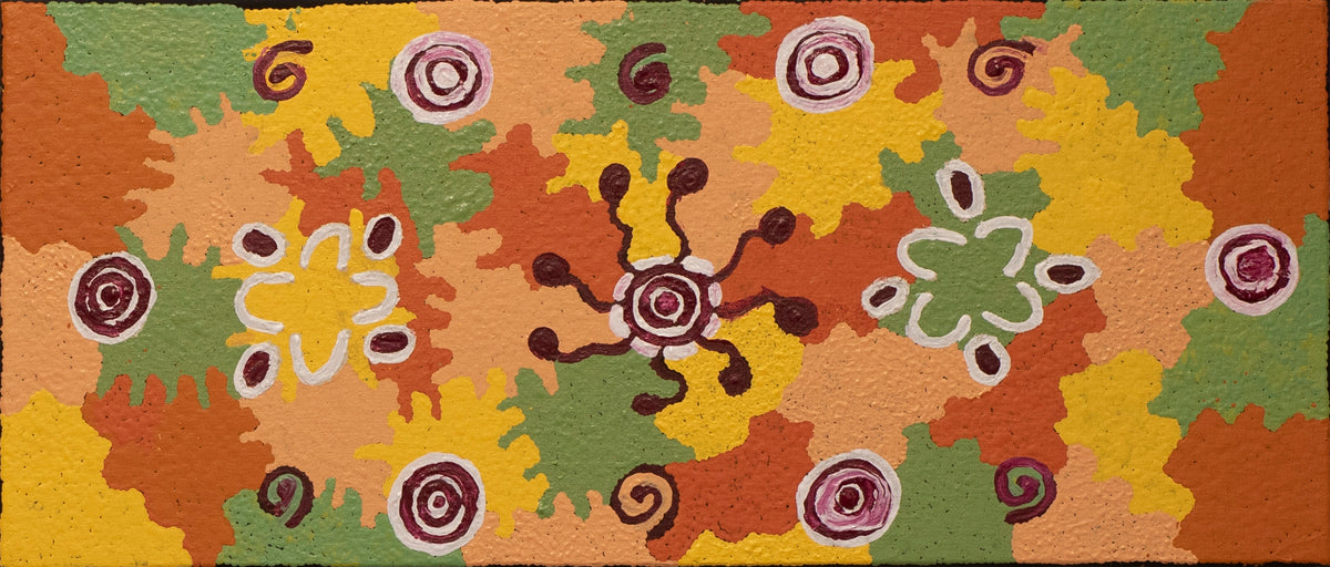 Janmarda by Emily Andy Napaltjarri