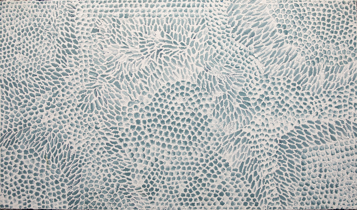 Untitled Artwork 597994 by Minnie Nelson Nakamarra